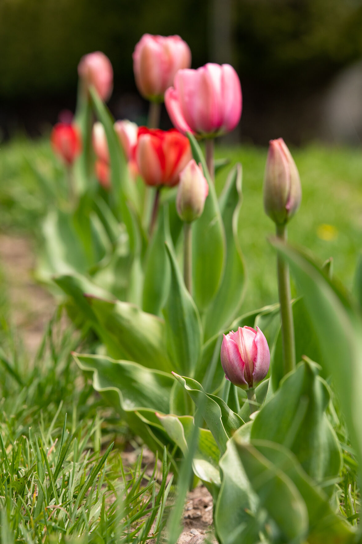 Business is BLOOMING